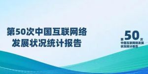 中国互联网络发展状况统计报告