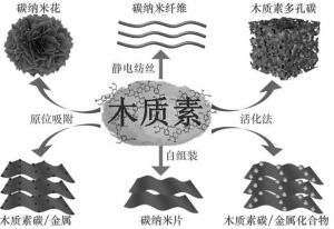 木质素